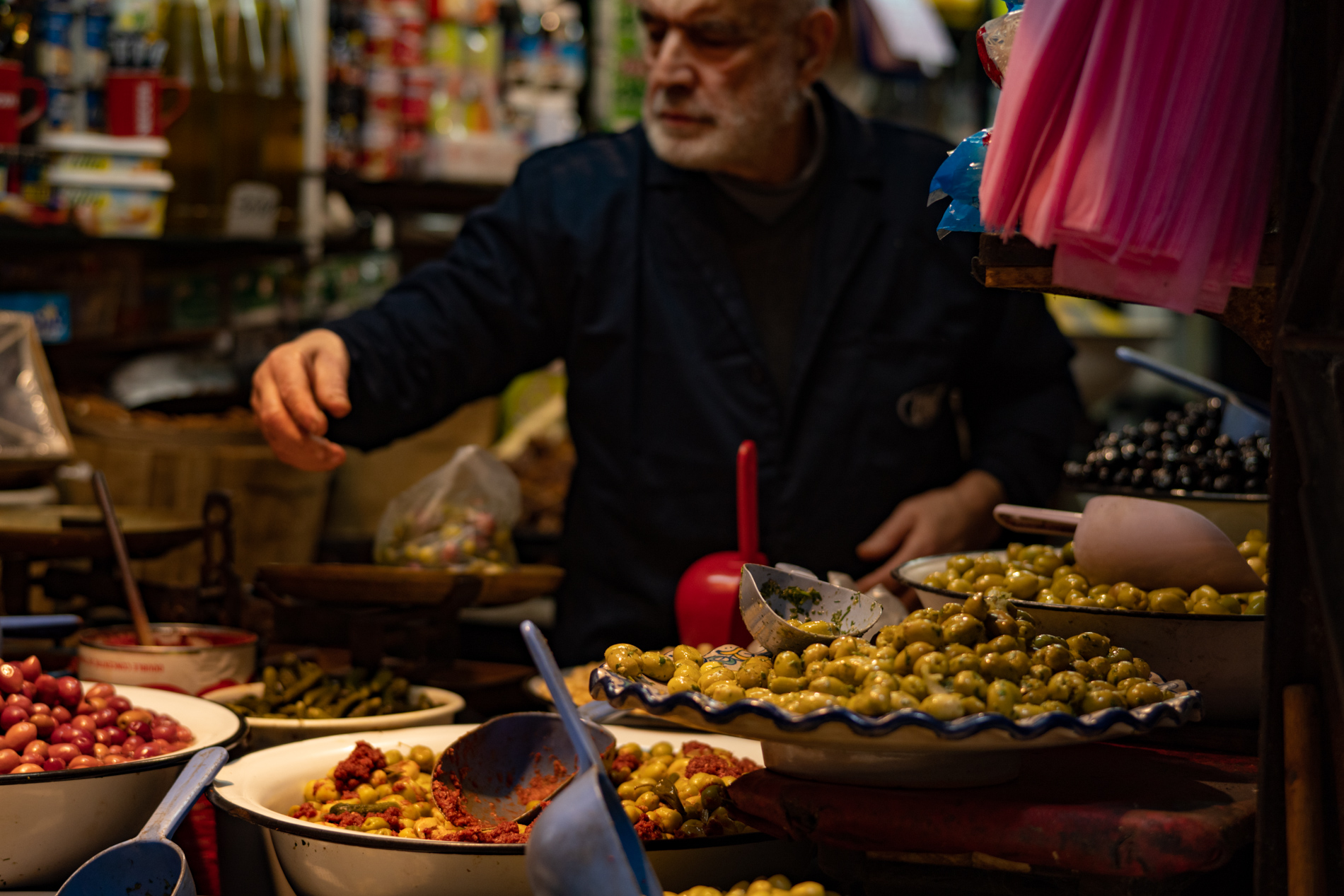 Olive harvest season Morocco